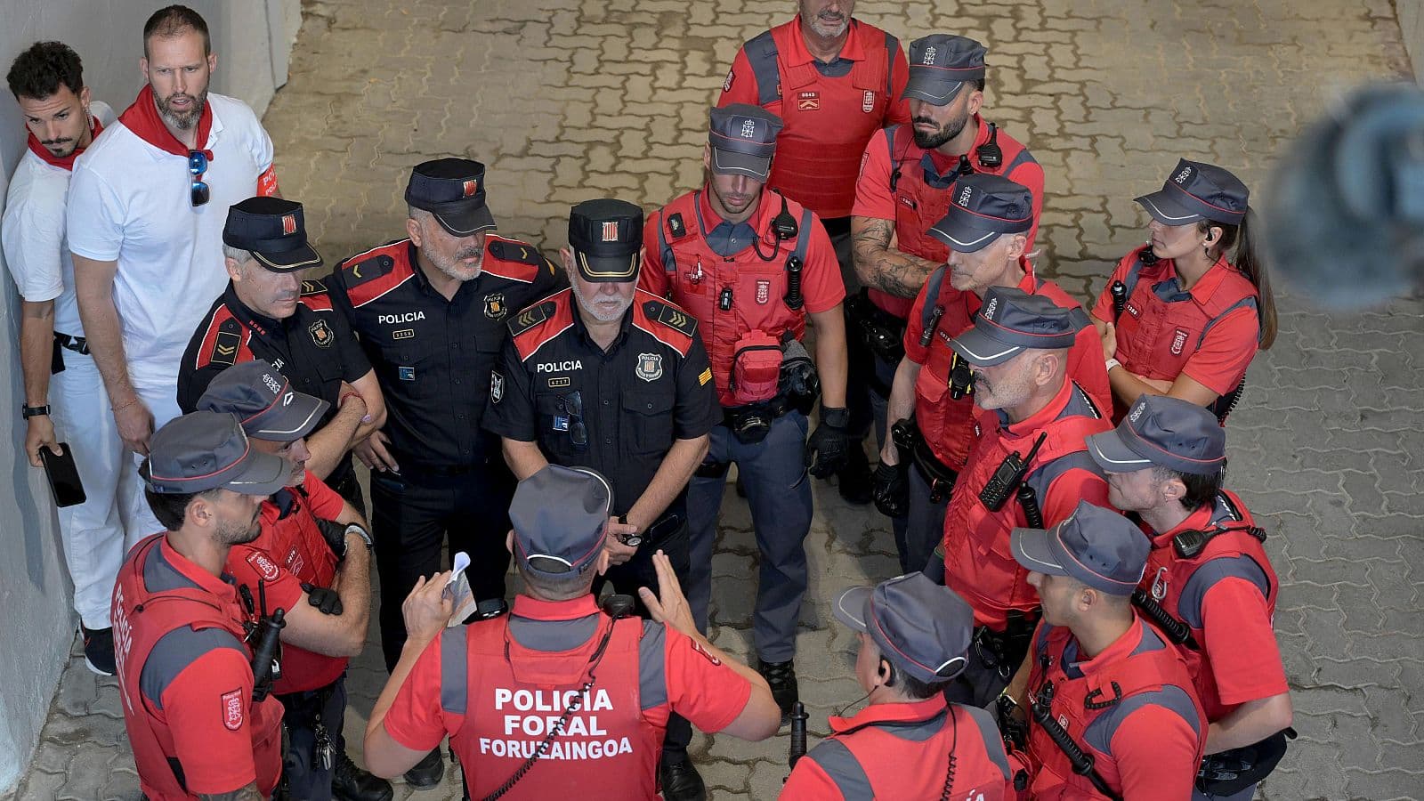 Ilustración del artículo: Policía Foral: compara Ciencias Humanas con una matriz pequeña